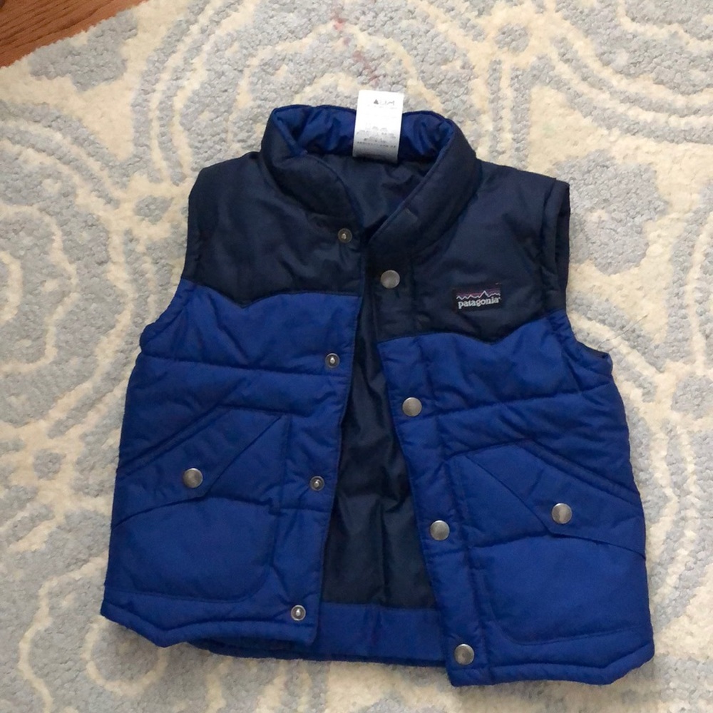 Patagonia Vest